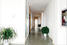 ��˾����